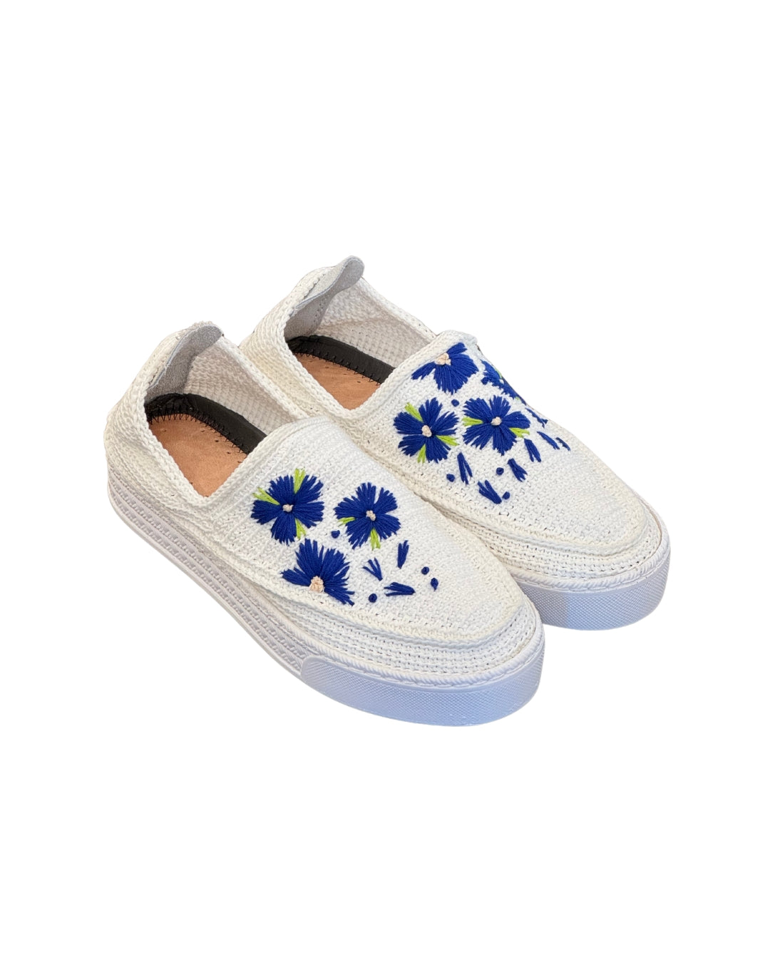 BLUE ASTER